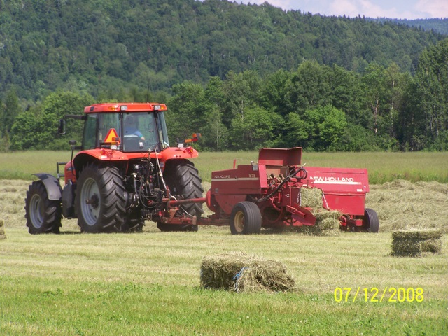 Hay Making